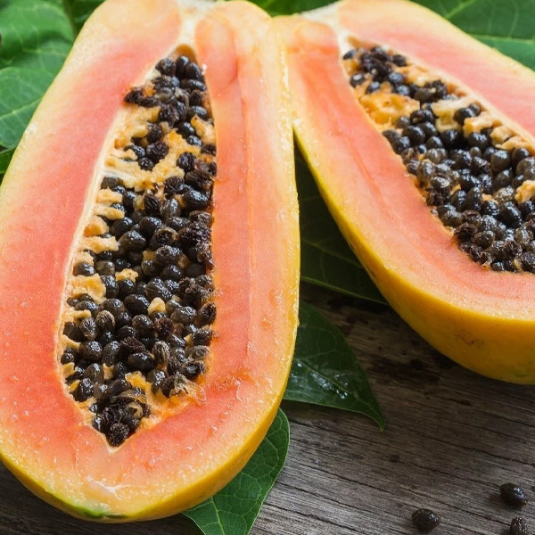 Extrato de papaia — fonte de enzimas vegetais, incluindo a papaína